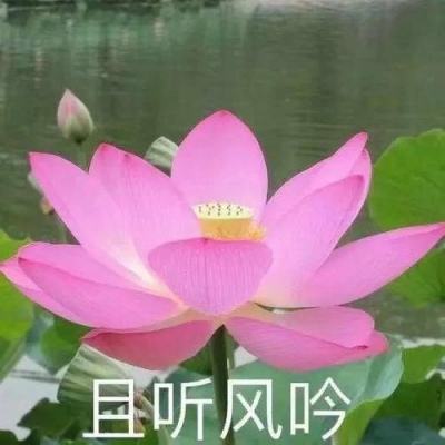 9377剑侠伏魔手游下载